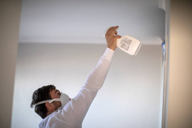 Best DIY Mold Remediation Support Services in Union, NJ