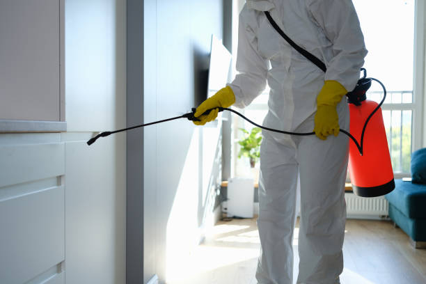 Best Emergency Mold Remediation in Union, NJ
