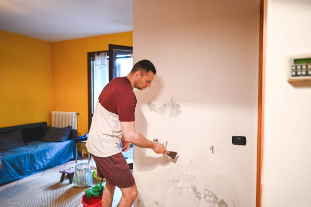 Best Commercial Mold Remediation in Union, NJ